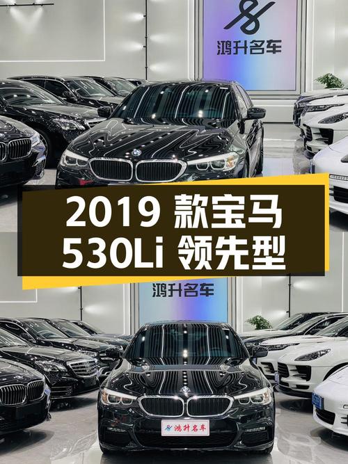 2019 款宝马 530Li 领先型豪华套装，10.9 万公里，23.8 万