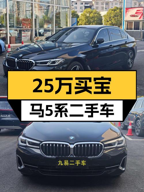 25万 2022款宝马 5系 530Li 领先型，里程7.8万，黑色未过户