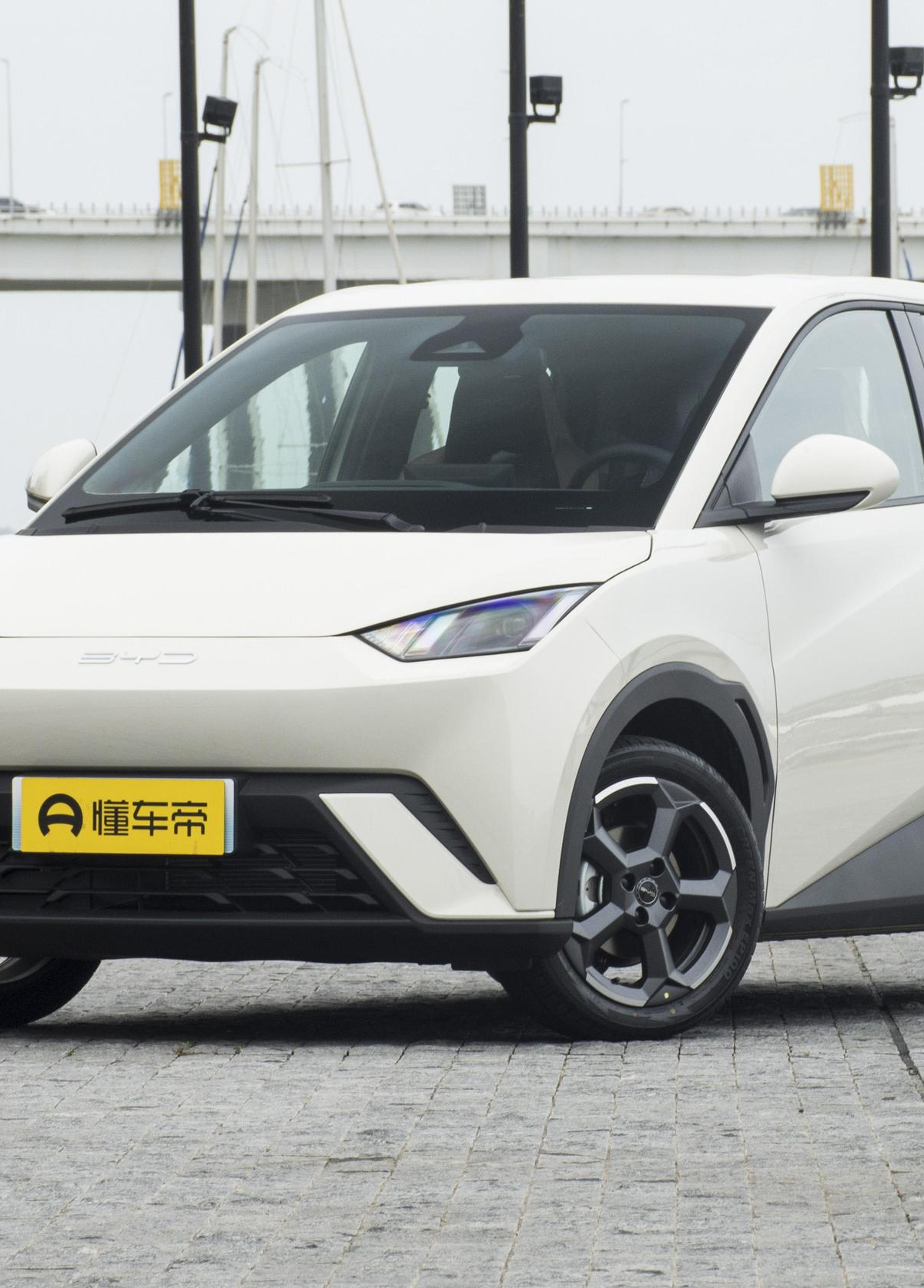 你对海鸥售价满意吗话题封面图