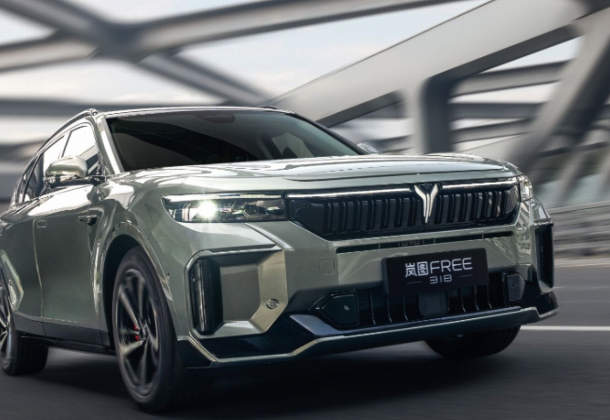 岚图FREE提车日记话题封面图