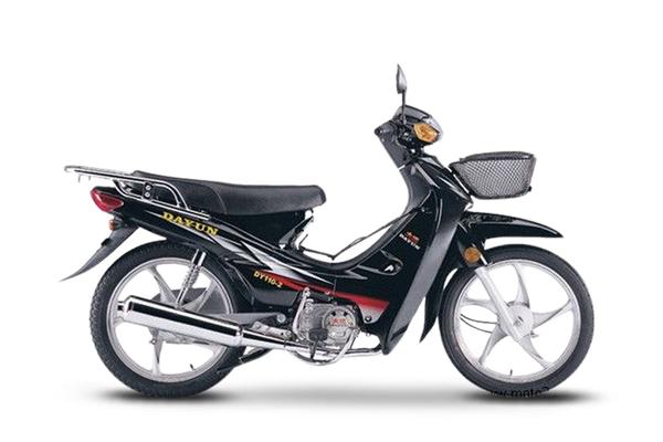 大阳 DY110-2A 2022款 标准版厂商_基本信息图