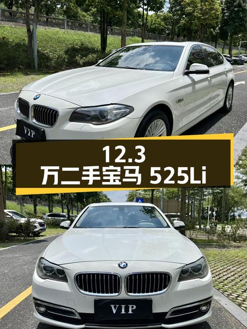 12.3 万入手二手宝马 525Li 领先型，2015 年上牌，20.5 万公里
