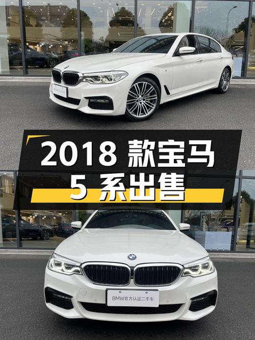 2018 款宝马 5 系 530Li 领先型 M 运动套装，25 万出售