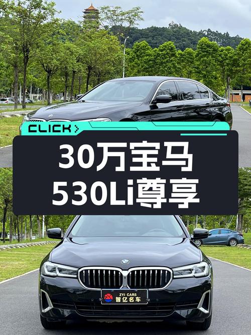 30万出头，宝马530Li尊享，2万公里，宜商宜家一手车