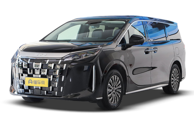 比亚迪M9 2025款 1060 领航版