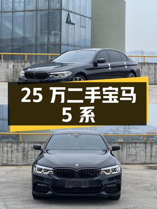 25 万的二手宝马 5 系，能入吗？