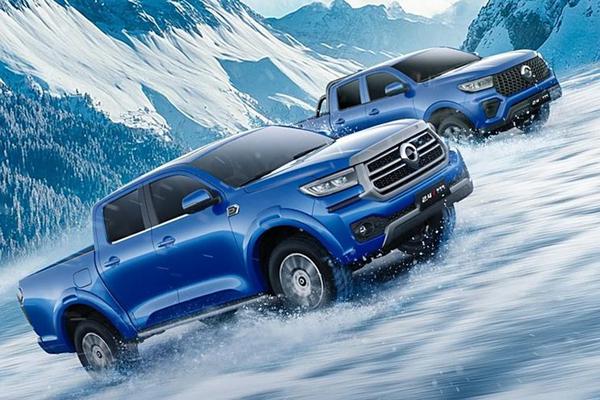 炮 2025款 越野炮 新春限量版 2.0T汽油 四驱珠峰版GW4C20B能源类型_基本信息图