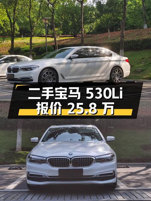 宝马 5 系 2020 款 530Li 领先型 豪华套装，二手报价 25.8 万
