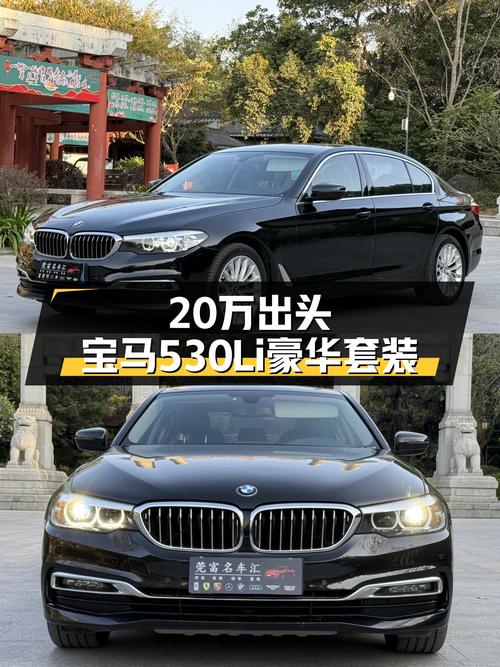 20万出头，宝马530Li豪华套装，商务接待好选择