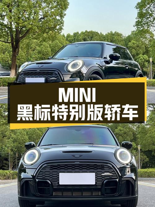 20万出头，MINI 黑标特别版，2.0T小型轿车