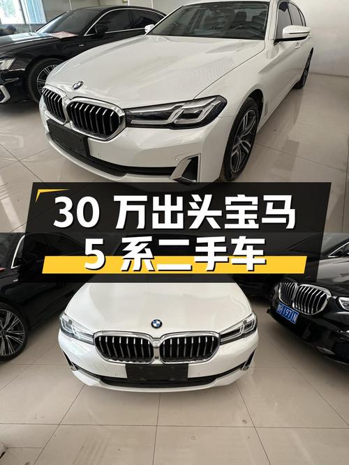 30 万出头，宝马 5 系 530Li 领先型豪华套装二手车