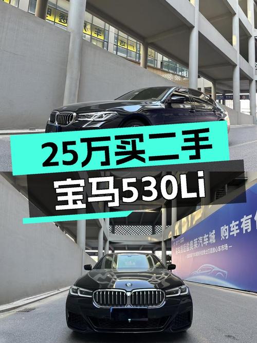 2020款宝马530Li，25.98万圆你蓝天白云梦！