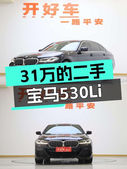 31万的宝马530Li，还要啥自行车？