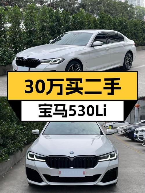 30万出头拿下准新宝马530Li，豪华运动它都有？