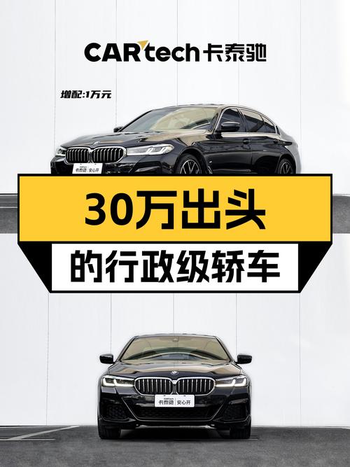 30万出头的行政级轿车，22款宝马530Li M运动套装，宜商宜家