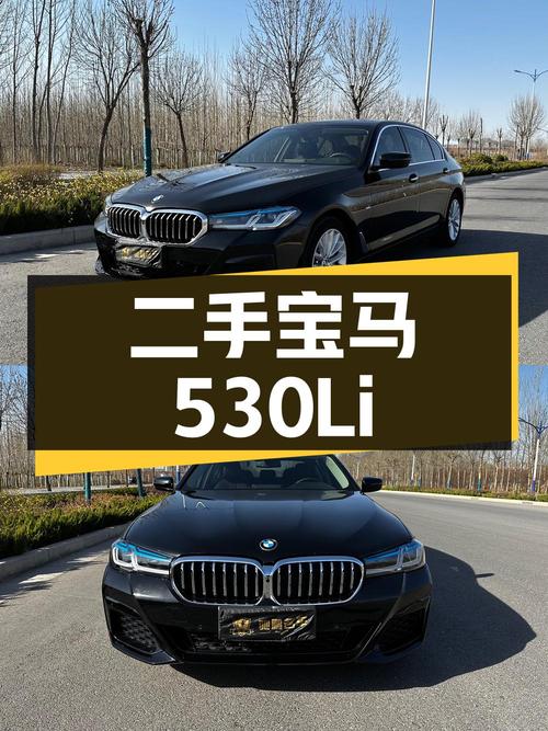 二手宝马 530Li 领先型 M 运动套装，2018 款，11.9 万公里，22.88 万