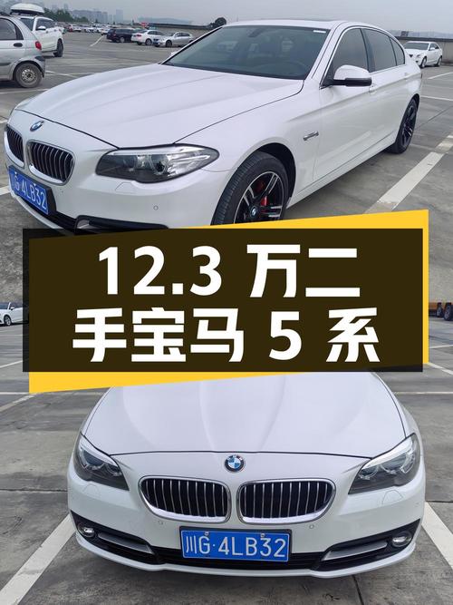 12.3 万买辆二手宝马 5 系，2.0T 动力，看看值不值？