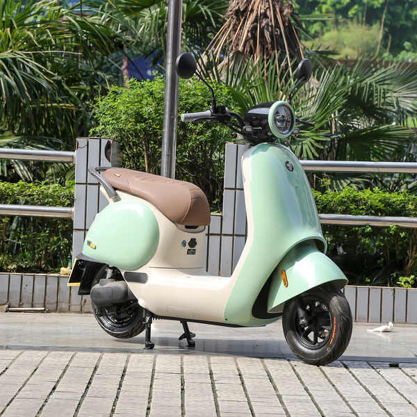 九号 电摩Q 2023款 Q80C级别_基本信息图