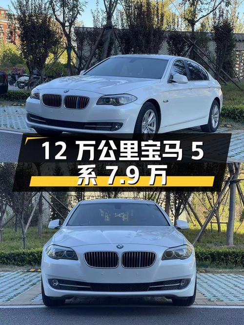 12 万公里宝马 5 系 7.9 万拿下，看完报告再决定