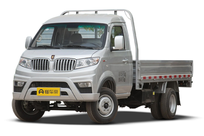 金杯T5 2023款 1.6L 标准型载货汽车双排2.6米后双轮国Ⅵ SWD16MS