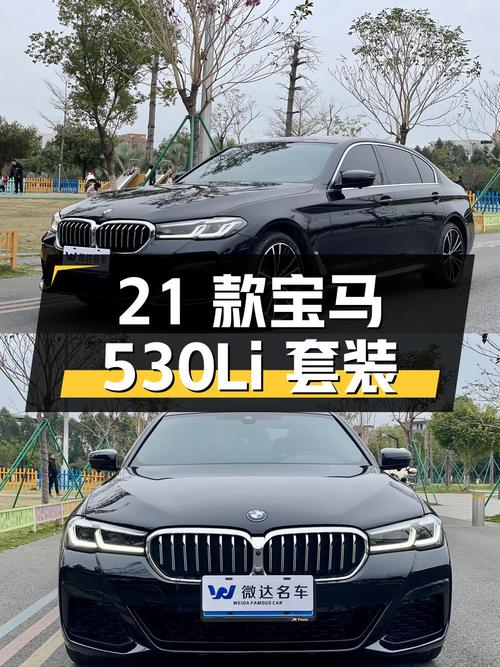 29.5 万 2021 款宝马 530Li 领先型 M 运动套装，7.3 万公里东莞牌