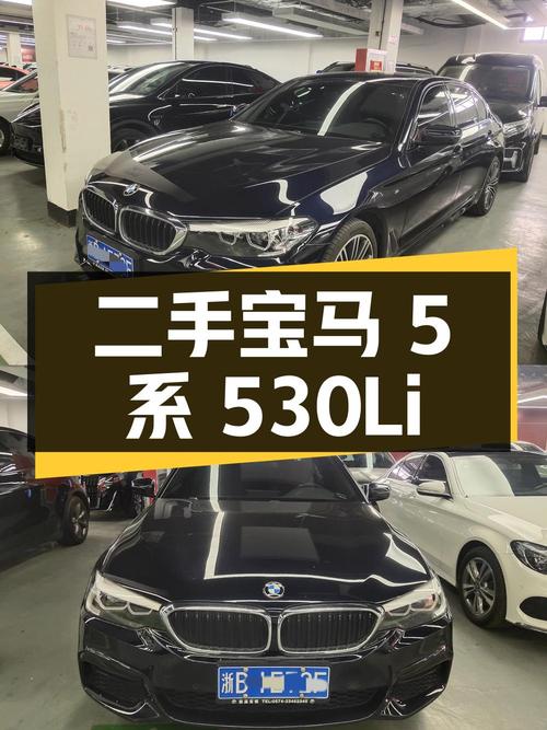 二手宝马 5 系：2019 款 530Li 领先型 豪华套装