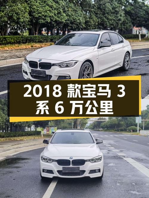 10.88万的 2018款宝马 3系，湖州车源6万公里1次过户