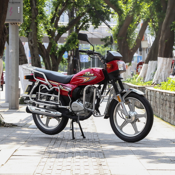 嘉陵 新独狼 JH150-9 2021款 独狼S版级别_基本信息图