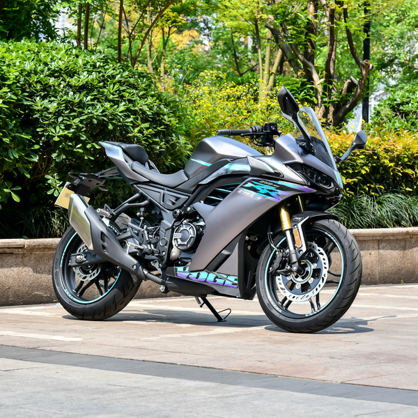 无极 250RR 2024款 FREE版厂商_基本信息图