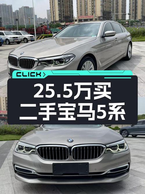2020年宝马 5系 530Li 领先型，南宁牌，5.2万公里，25.5万可入？