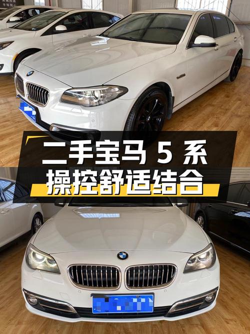 二手宝马 5 系 2014 款 520Li 典雅型：操控与舒适的完美结合