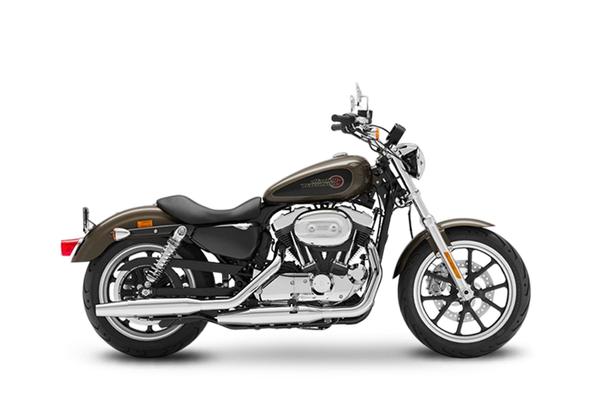 哈雷戴维森 Superlow 883 超级低座版 2020款 亮黑色版级别_基本信息图