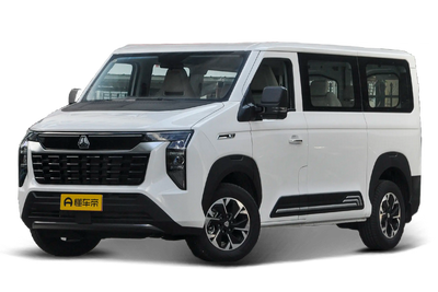 先锋官V 2024款 2.0T 货运版 自动中轴低顶