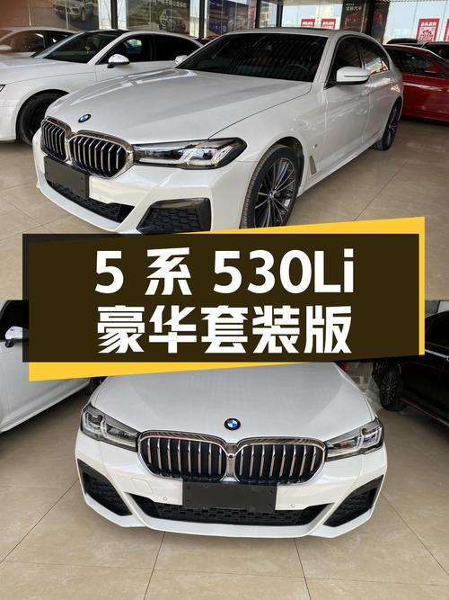 宝马 5 系 530Li 领先型豪华套装版，2019 年上牌，行驶 4.3 万公里