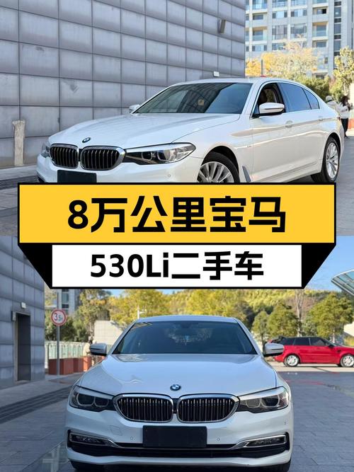 8万公里宝马530Li，曾经的豪华座驾，如今多少预算可以拥有？