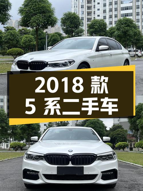 2018 款宝马 5 系 525Li M 运动套装二手车