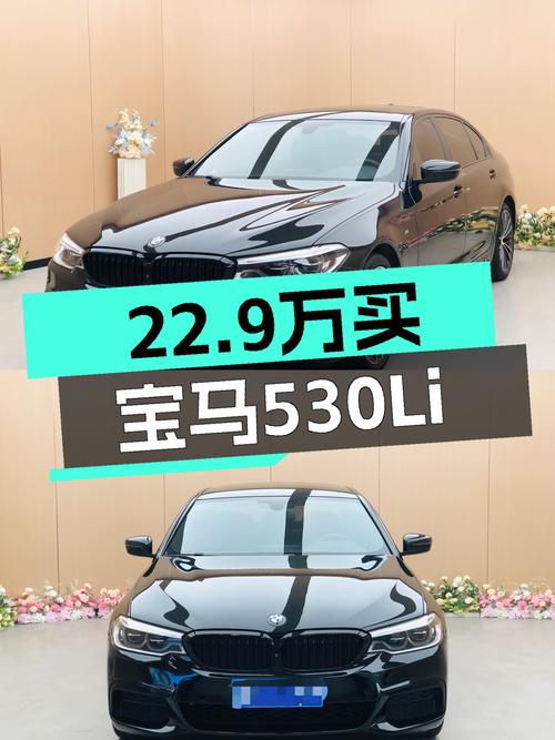 宝马530Li：22.9万圆你蓝天白云梦，8.9万公里，6.9秒破百！