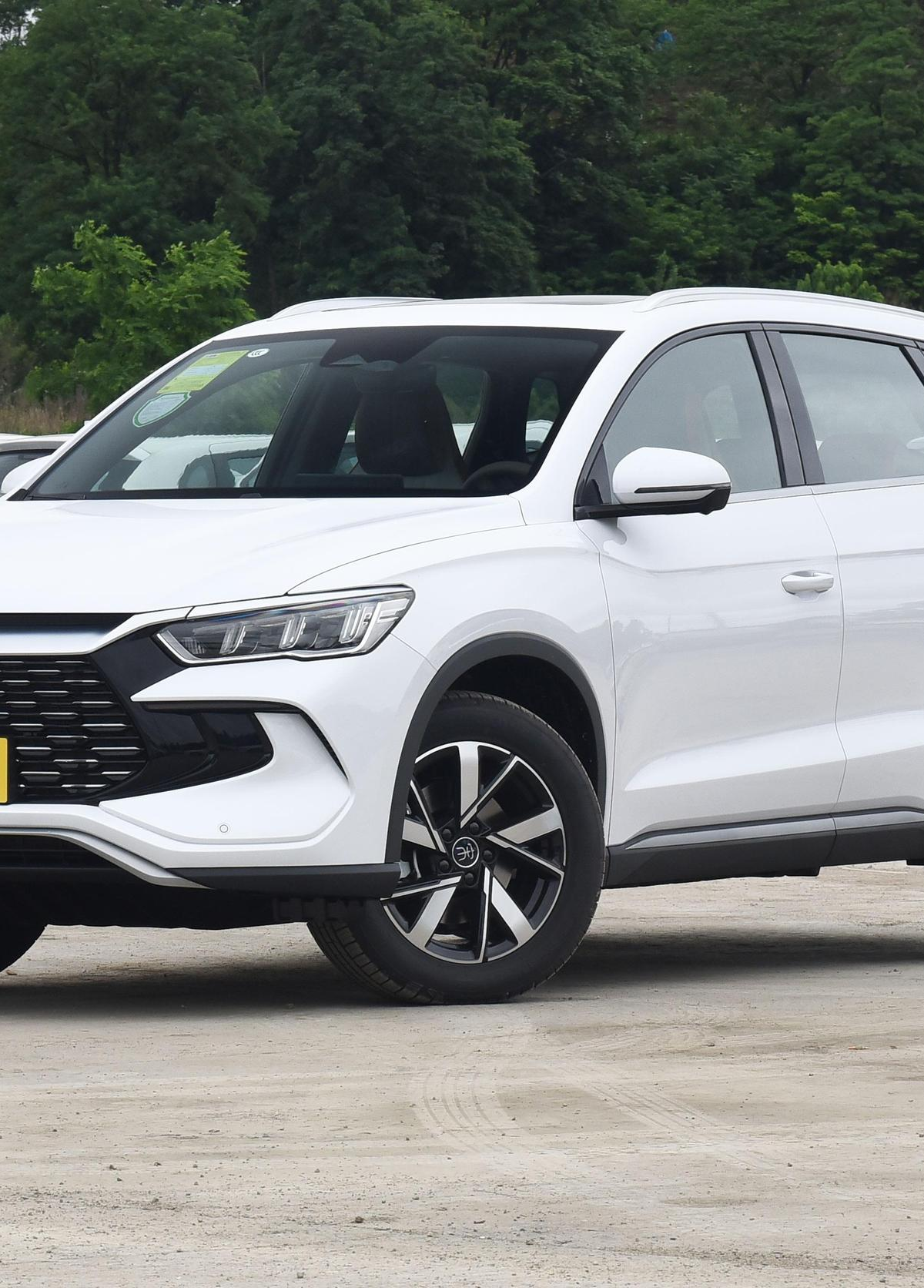 宋Pro冠军价格预测话题封面图