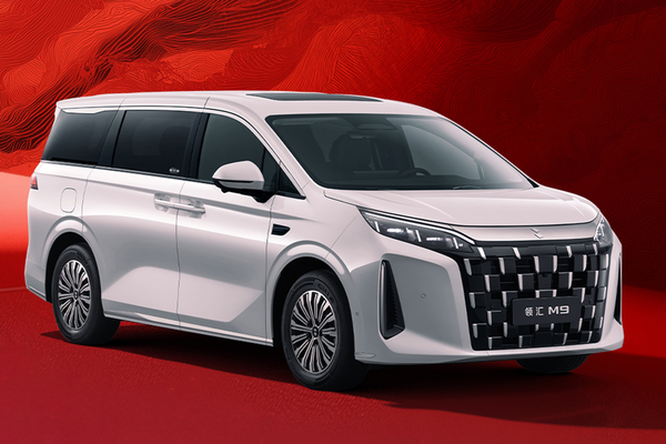 领汇M9 DM 2026款 基本型厂商_基本信息图