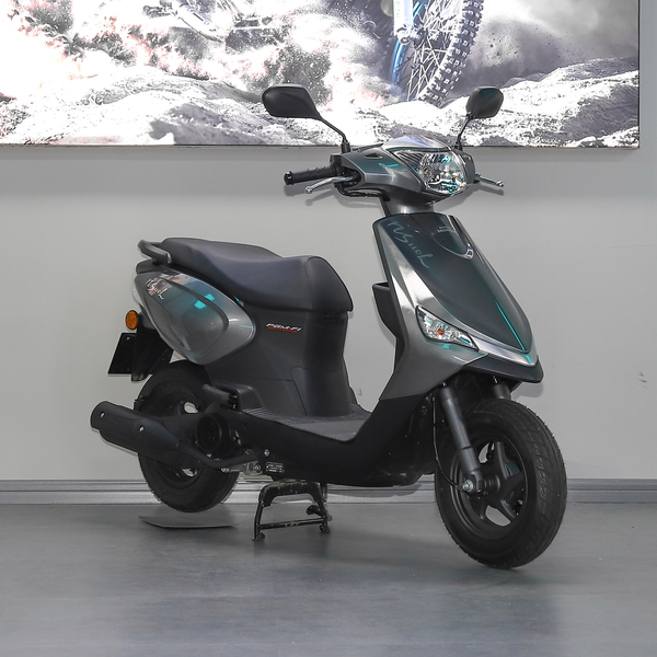 新大洲本田 NS110L 2021款 碟刹版厂商_基本信息图