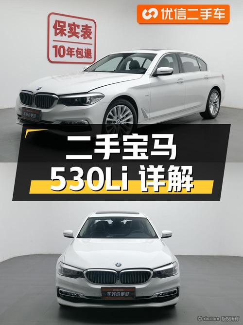二手宝马 5 系 530Li 领先豪华套装版详解