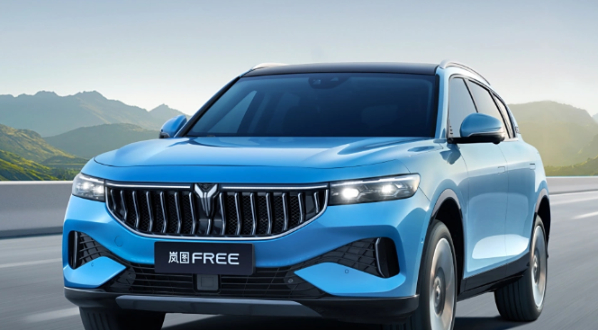 岚图FREE只聊缺点话题封面图