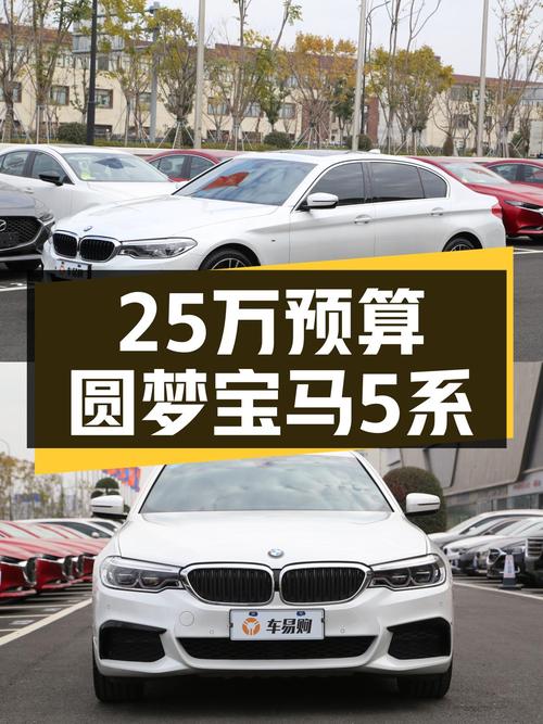 25万预算圆梦蓝天白云，2020款宝马530Li M运动套装，7秒破百！