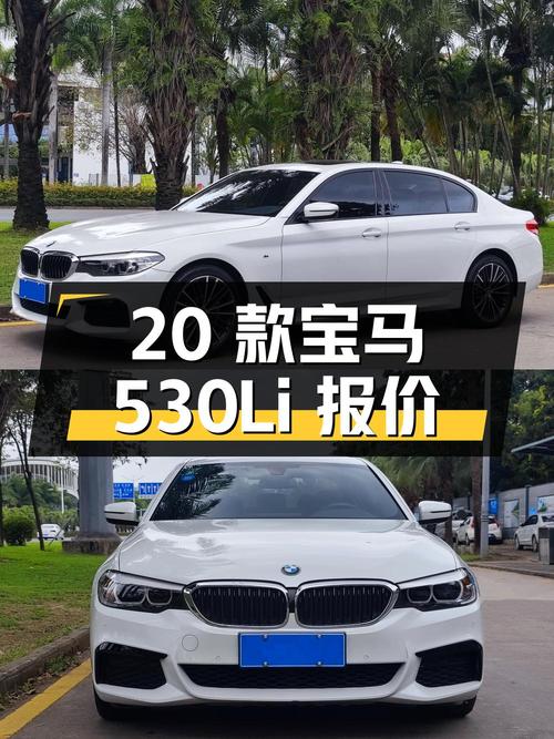 2020 款宝马 5 系 530Li 领先型 M 运动套装，报价 22.3 万