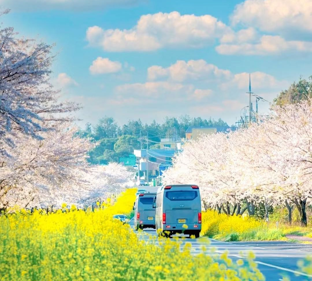 踏春季自驾游话题封面图