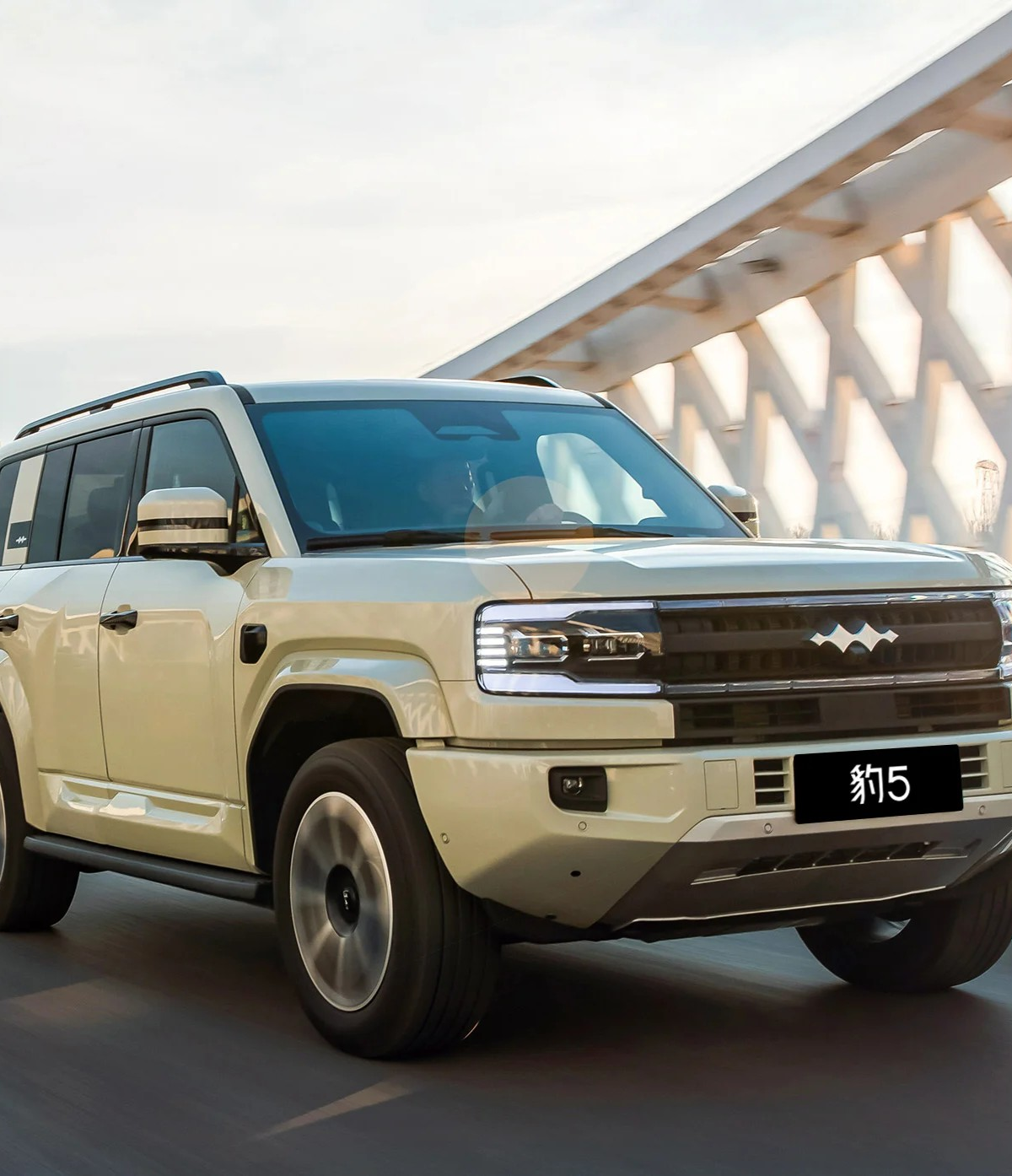 豹5只聊缺点话题封面图