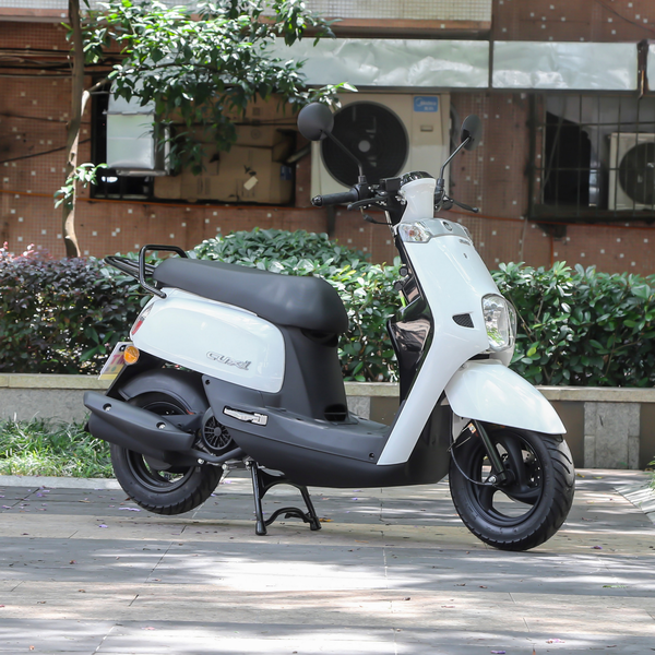 飞鹰 酷禧FY110T-C 2021款 FY110T-C厂商_基本信息图