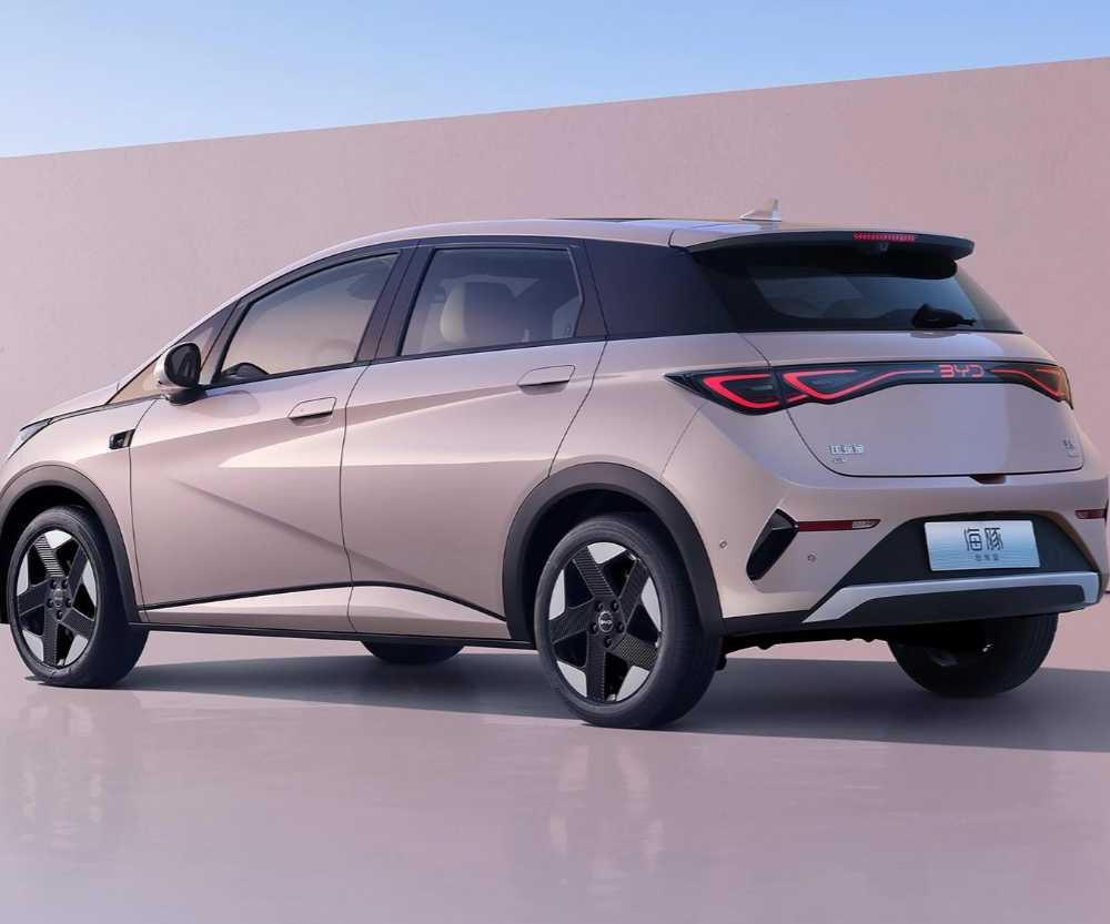 选择海豚的理由话题封面图