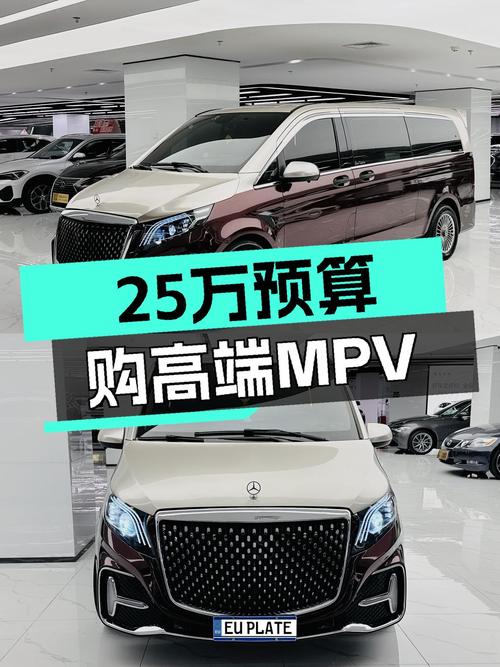25万预算圆你高端MPV梦，一手奔驰威霆商务版，宜商宜家！
