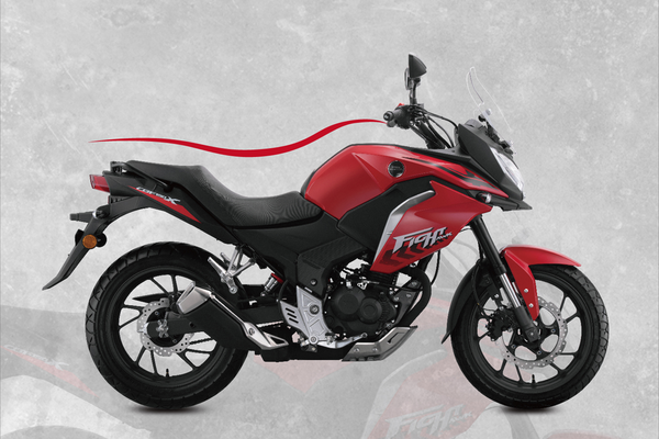 新大洲本田 CBF190X 2020款 标准版厂商_基本信息图